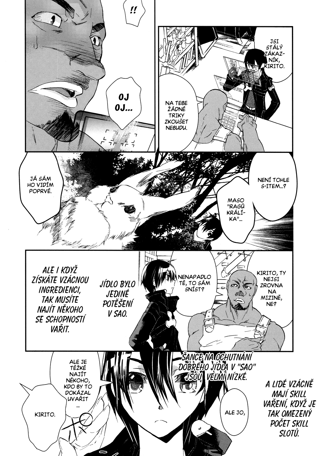Sword_Art_Online_c03_006 kopie.jpg